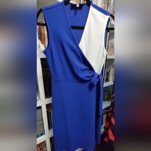 Bold Blue and White Dress